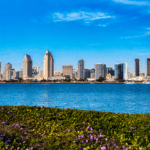 Professional drug and alcohol interventionist services in San Diego, CA, with local support groups, community resources, and guidance for families navigating substance use concerns.